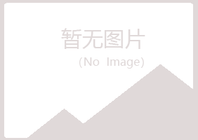 阳泉夏岚采矿有限公司